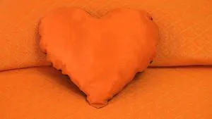 Rose Apartment - Luni