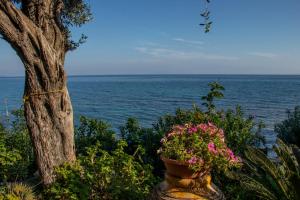 Beachfront Romantica place First floor