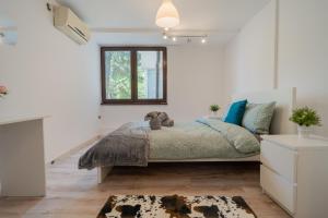 Velaris Central Residence - Amzei Avenue