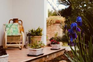 Maison Luigi - Casa Vacanze1