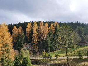 WATRA Usługi Agroturystyki