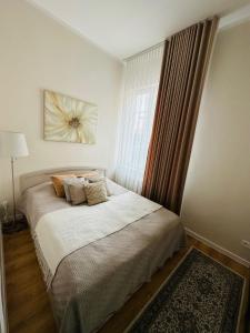 Kurpiai-buto nuoma Klaipėdoje