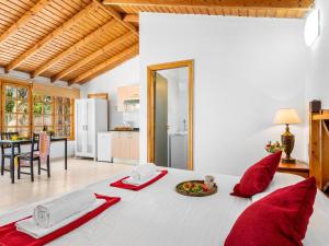 102 Bright Accomodation with Pool View