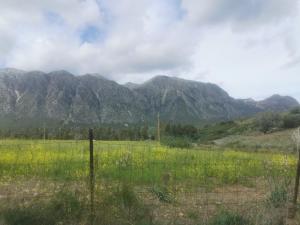 località Zarvenu (Murtas Artas)