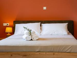 Catherine Luxury Holiday House close to Corfu Town