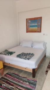 Panorama Lodge Nuweiba