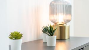 Modern Retreat 2 in Faro by Lovelystay