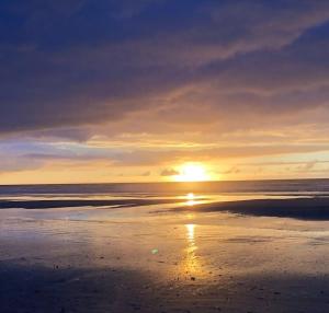 Appartement face mer