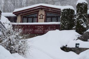 Maison de style chalet individuelle Le Rouge Feigne à La Bresse