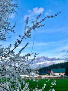 Folwark Toporzysko