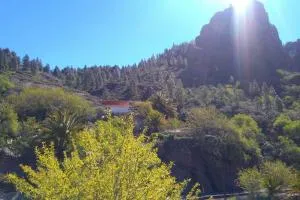 La Bohemia (Tejeda) - Ayacata