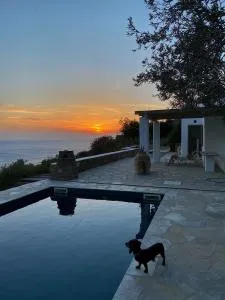 Villa Riza - Apróvaton