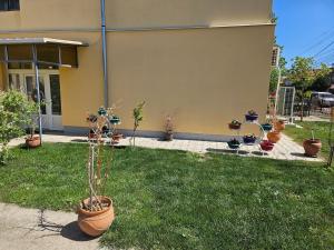 Apartments Kuca Aleksic