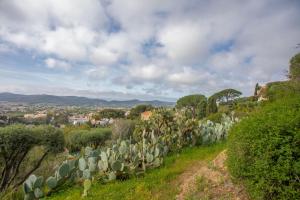 Appartements Le Mas Berliat F2 N°15 : photos des chambres