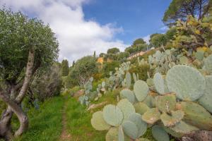 Appartements Le Mas Berliat F2 N°14 : photos des chambres