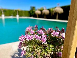 GATU SIROCO junto la playa, piscina, aire acc, terraza -Preferente mayores de 21 años y familias "