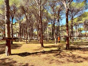 Pineta sopra il mare