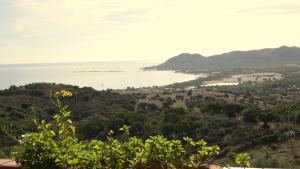 Comino Alto Agriturismo e Appartamenti img60