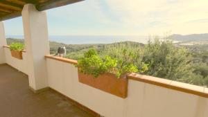 Comino Alto Agriturismo e Appartamenti img62