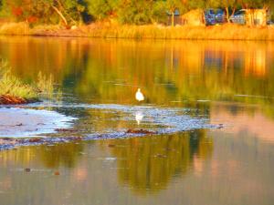 Comino Alto Agriturismo e Appartamenti img75