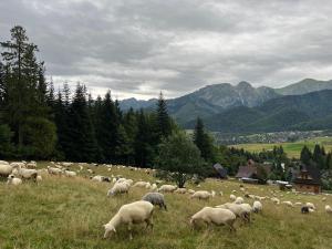 Dom wczasowy Klaudia