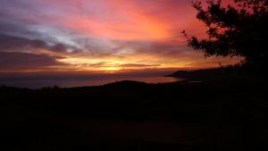 Comino Alto Agriturismo e Appartamenti img92