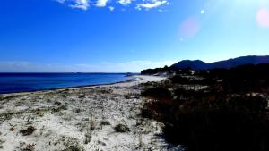 Comino Alto Agriturismo e Appartamenti img95