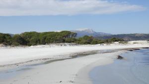 Comino Alto Agriturismo e Appartamenti img97