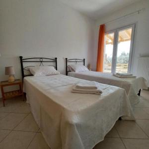 Eleonas Apartment 2, Lygia