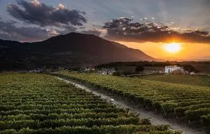 Giardino Delle Oche - Ocone Taburno Wine County - Torrecuso