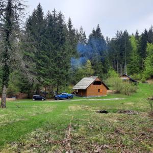 Koča v gozdu, Forest house near Bled