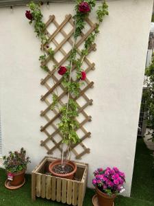 Détours en Provence - Lavande 3*