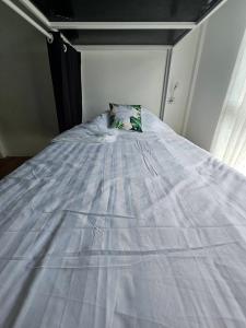 Tiger House Hostel Koh Tao