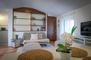 Intero alloggio: Fridas Apartment