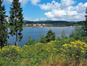 Petras Traum-Ferienwohnung mit Wiese und Terrasse