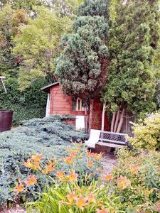 Unique Cottage House in Gdańsk