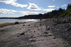 Beautiful oceanfront cottage
