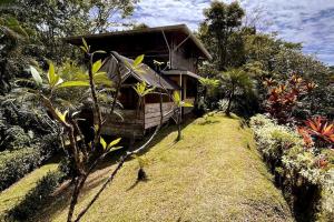 obrázek - Casa’ Mapola : typical beach jungle house