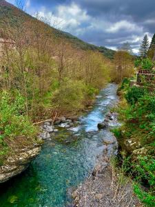 Grande maison cévenole authentique
