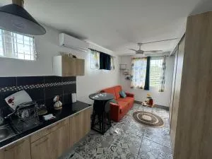 Studio pro - Quartier de Balata-Tourtet