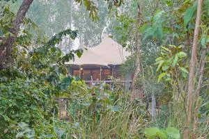 Saja and Sal The Chief's Tent - Baihar