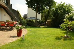 Reethus Sternenkikker inkl Strandkorb am Ostseestrand