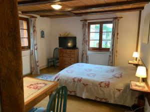 Appartements CHEZ SUZEL : photos des chambres