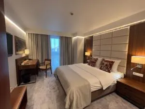 因内斯酒店 - 登比察