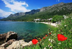 Ferienwohnung in Gradac mit Terrasse