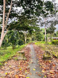 Nantu - Ubytování bez kategorie ve městě Tena