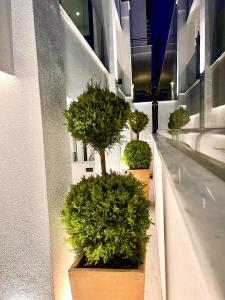 Alexandrion Appartments Down Town Adults Only