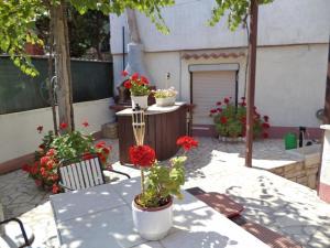 Ferienwohnung für 5 Personen ca 60 qm in Pula, Istrien Istrische Riviera - b55139
