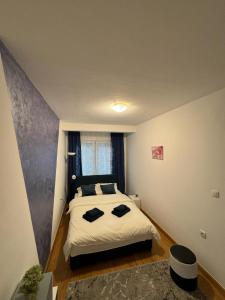 Studio29
