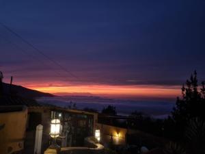 Finca Casa los Dragos